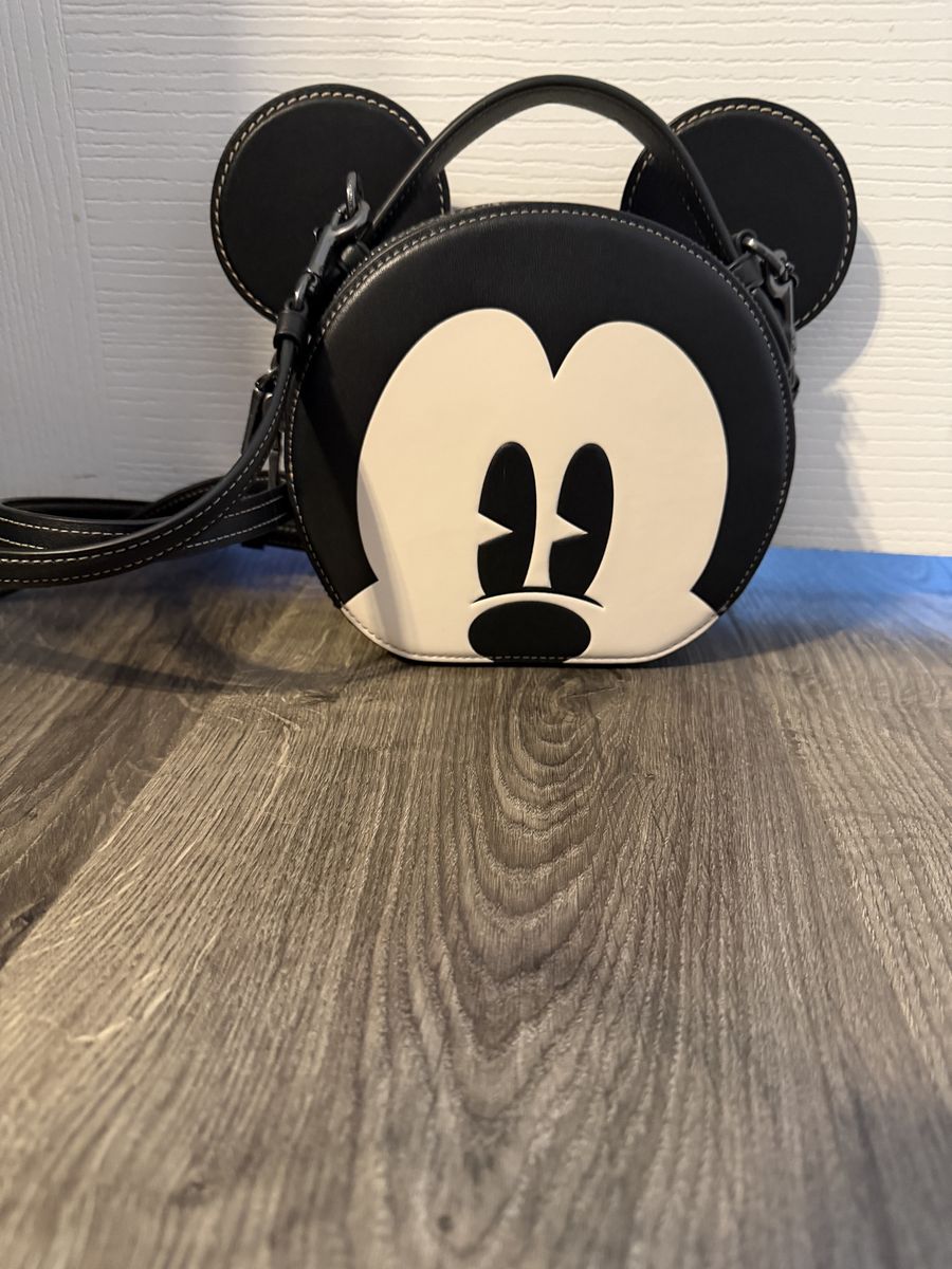 Disney X COACH BAG
