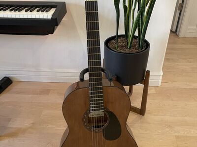 Johnson JG-100-WL Acustic guitar