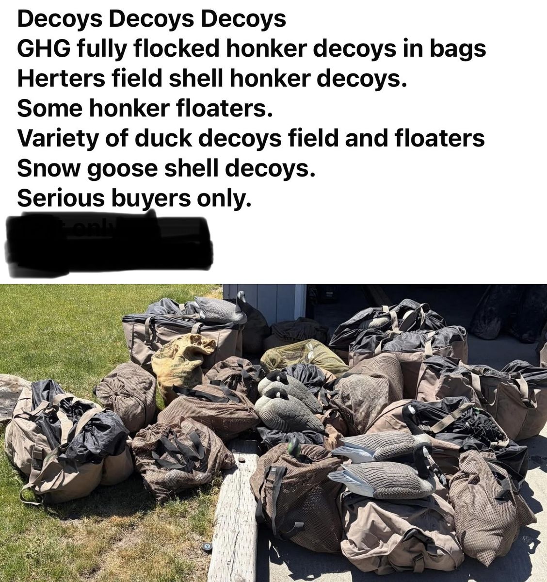 Decoys