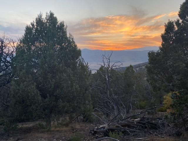Beautiful Mountain Living (1- 6 Acre Lots)