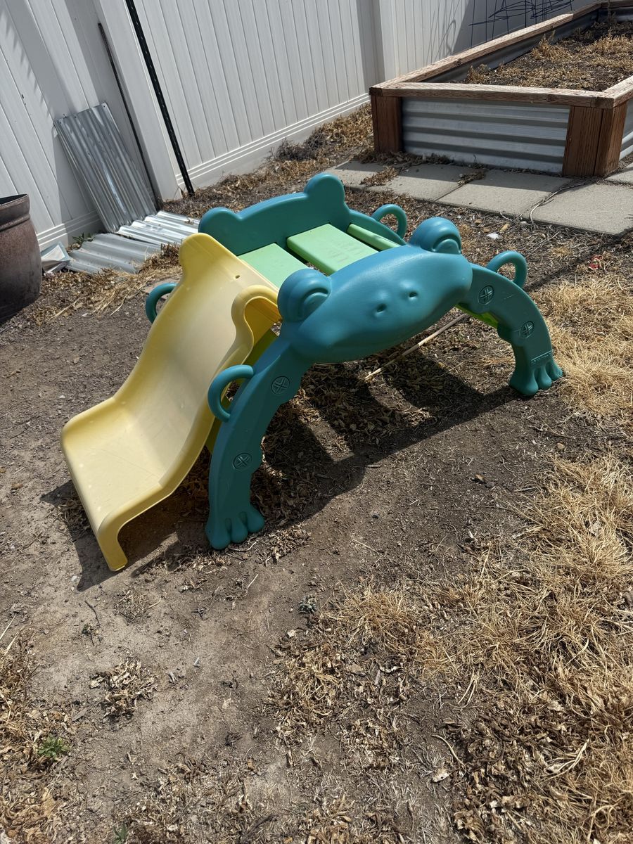 Kidkraft frog slide climber