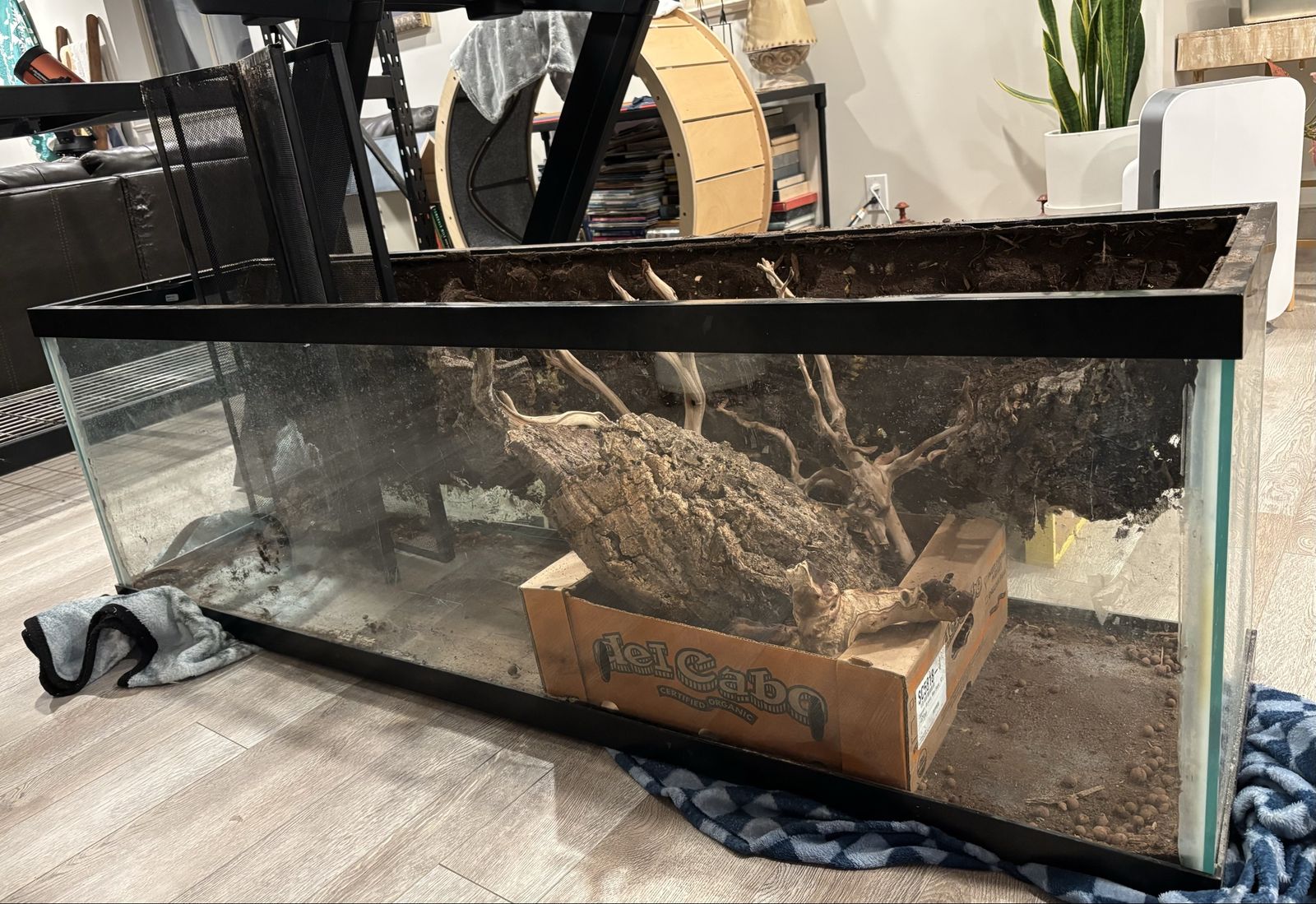 150 Gallon Bioactive Tank/Terrarium