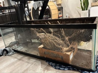 150 Gallon Bioactive Tank/Terrarium