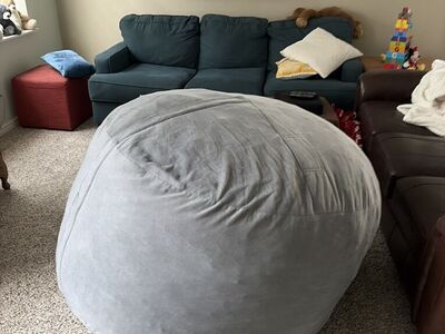 Big Joe Bean Bag