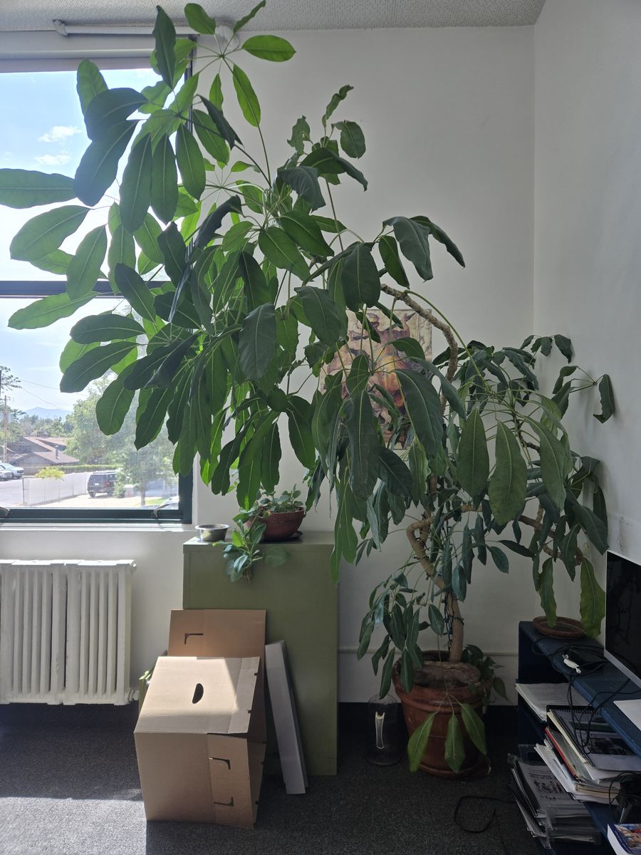 Main image 4