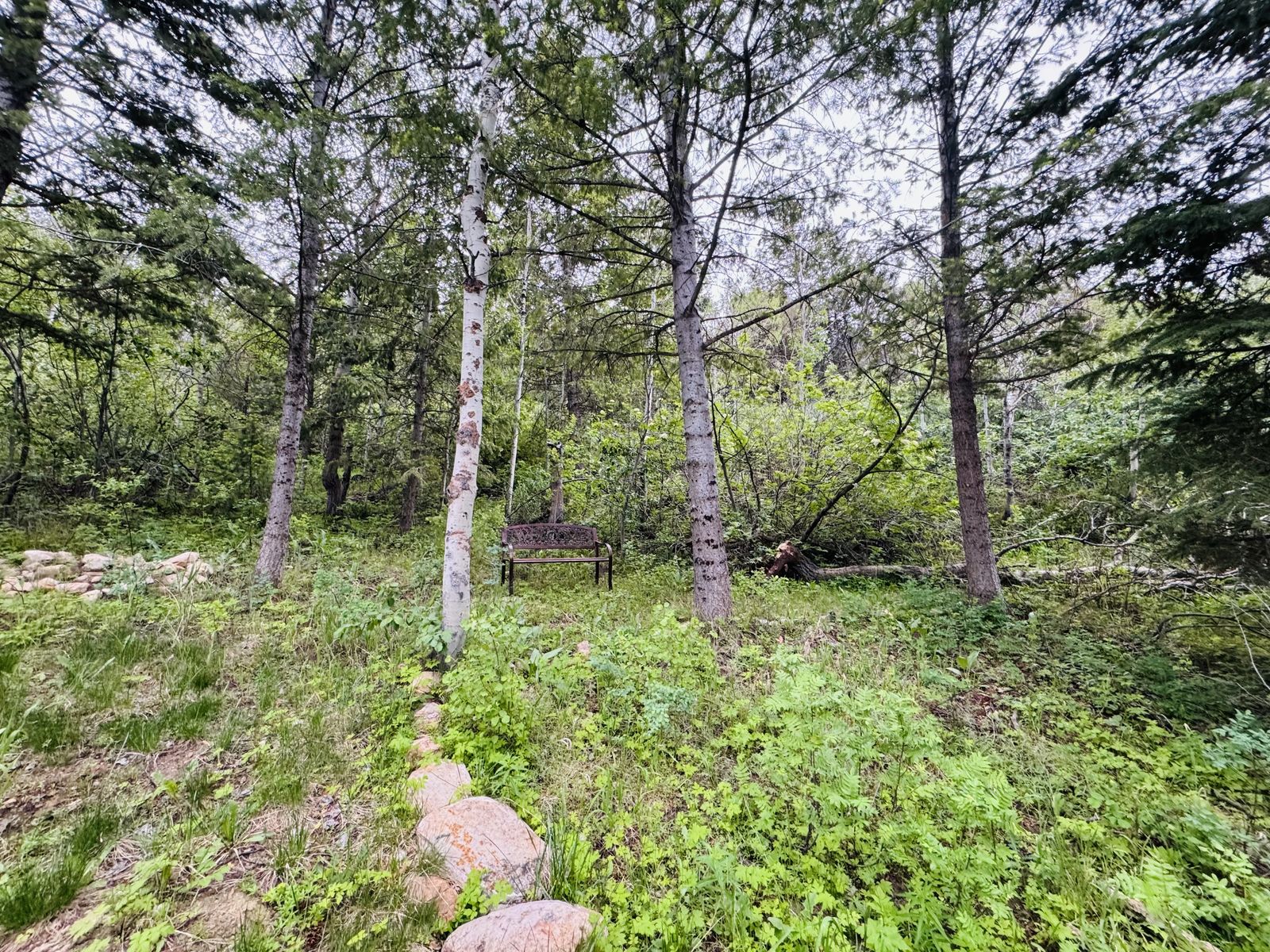 Main image 6