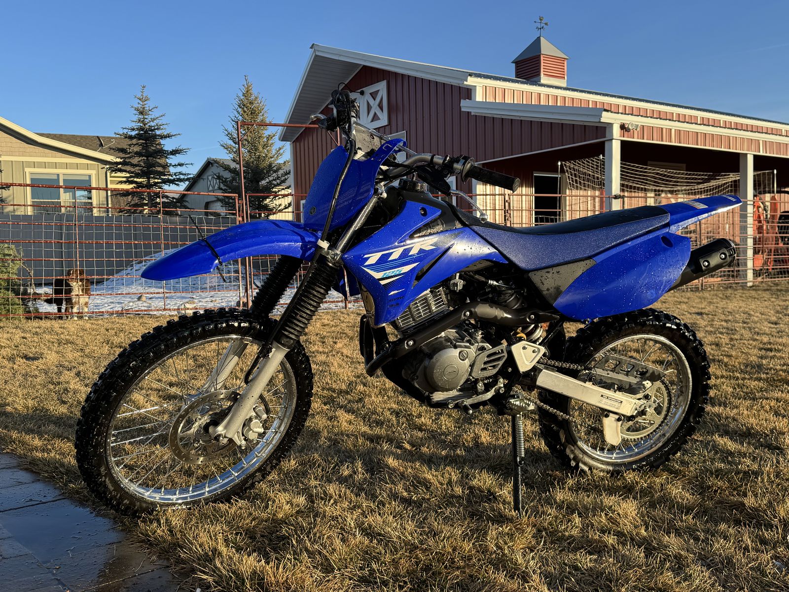 2025 Yamaha TTR125