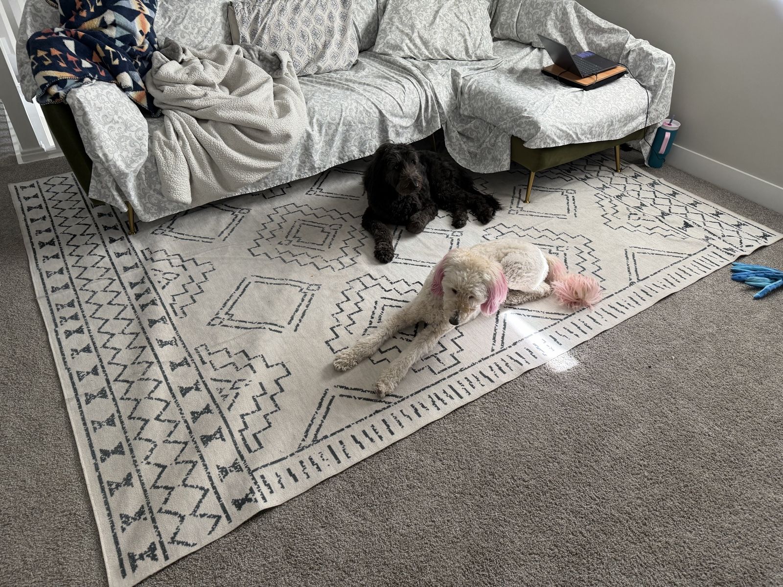 Washable Area Rug – Neutral Pattern