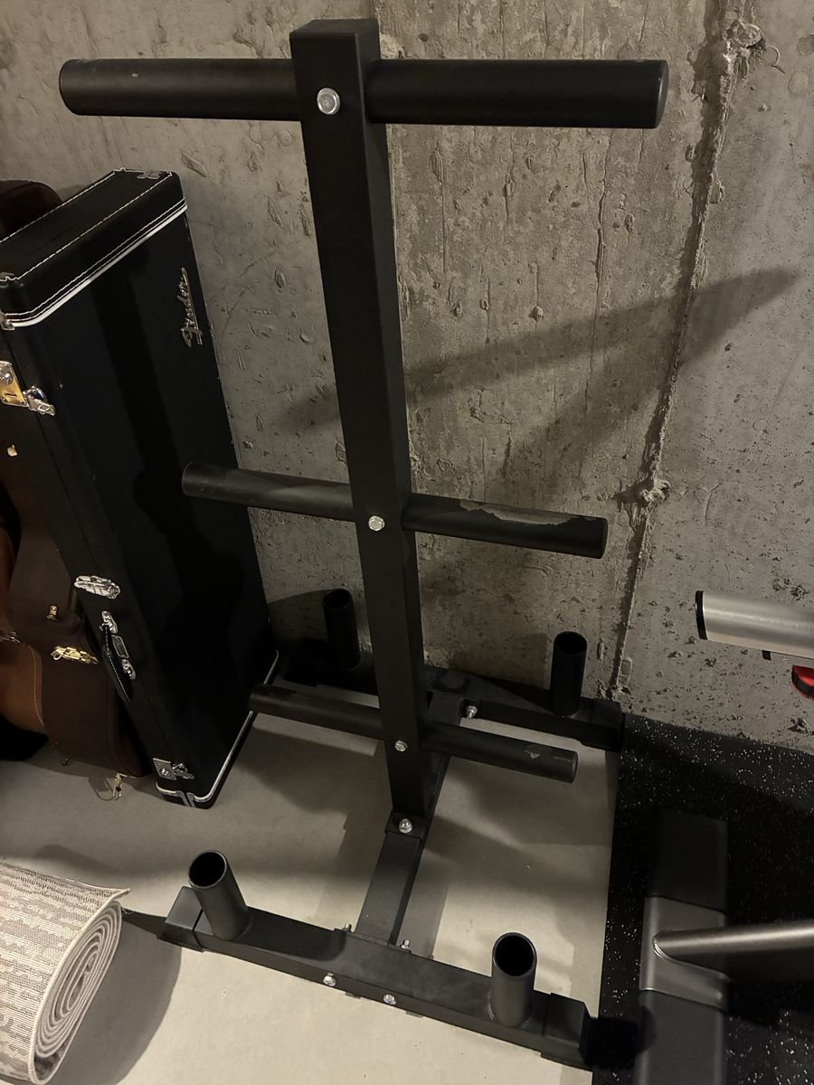 Weight storage tree for plates and barbells