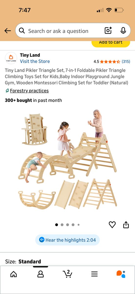 Kid Toddler Climbing Gym Wood Slide Triangle