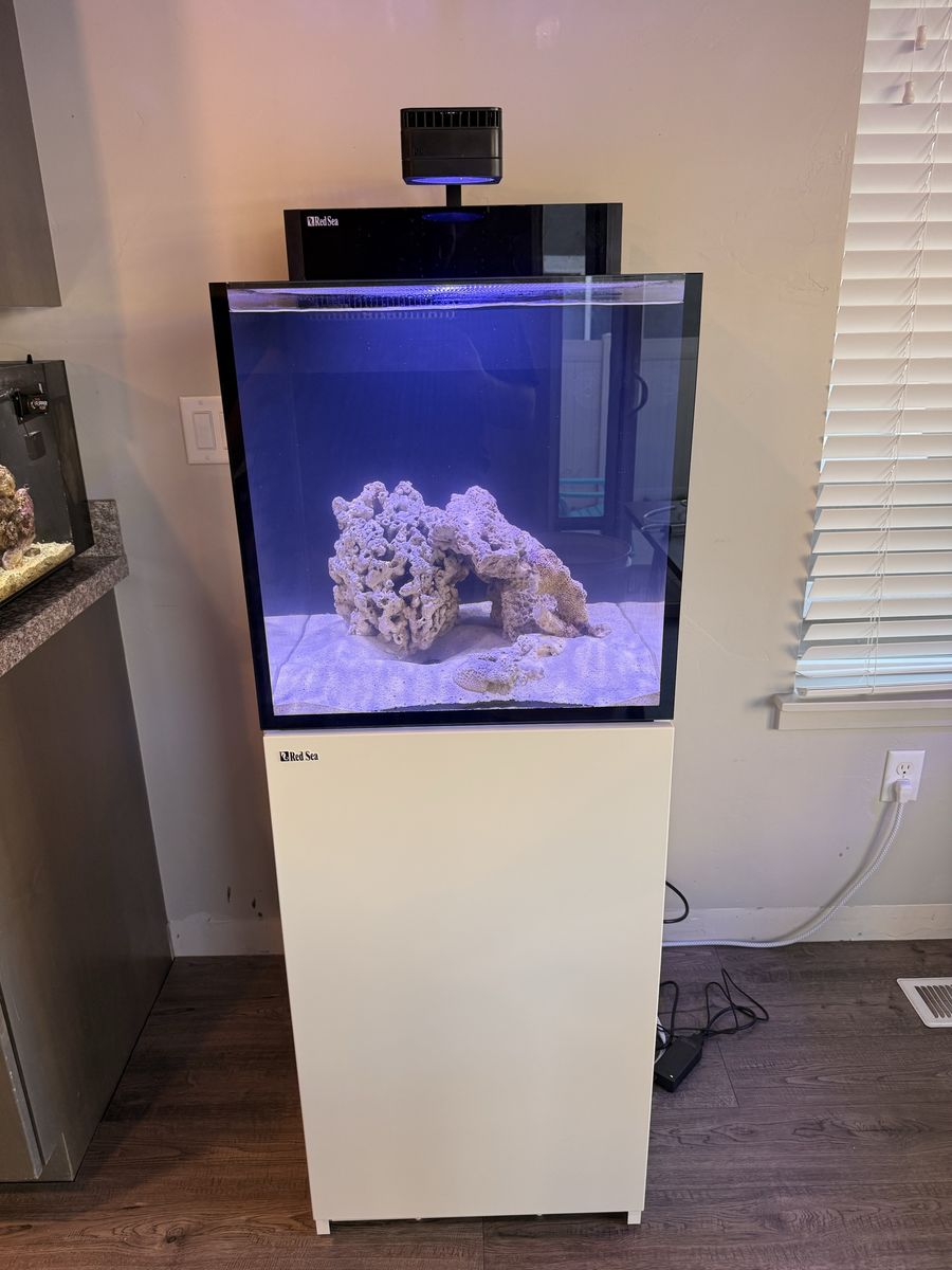 Redsea Reef tank