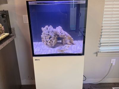 Redsea Reef tank