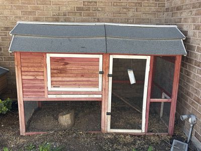 Red Chicken Coop And Laying Hens