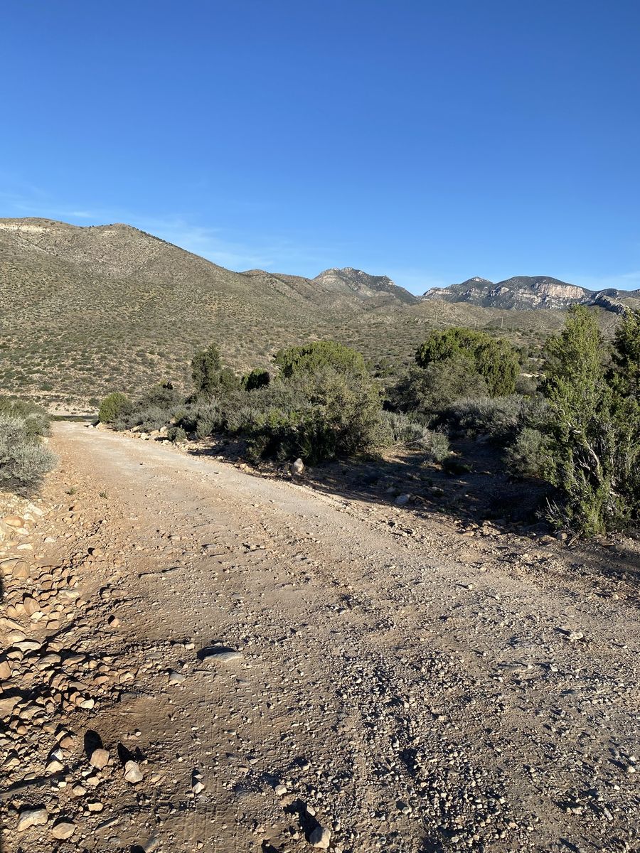 Main image 24