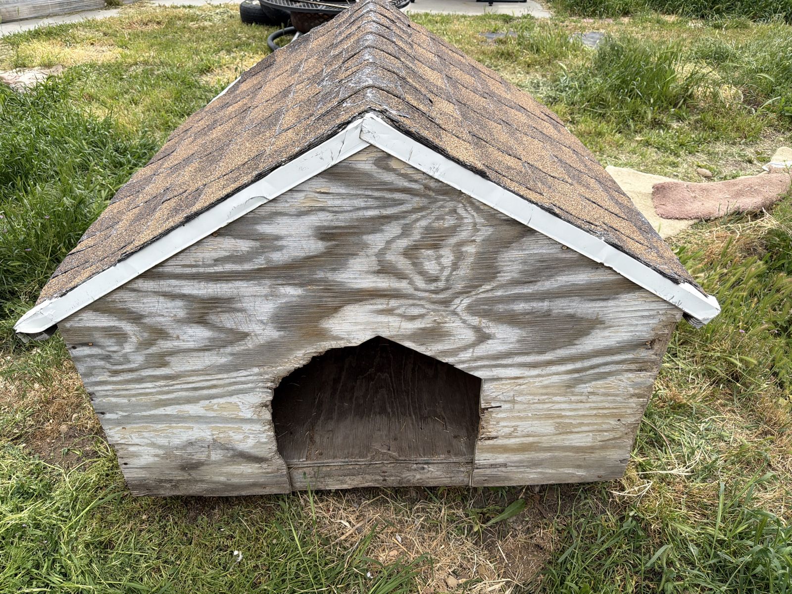 Dog house