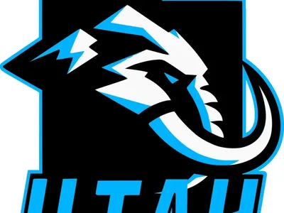 1 Utah Mammoth Ticket