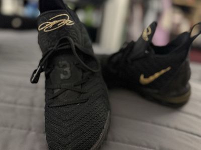 Limited Edition LeBron James 16 “ I Am King” sz 6Y