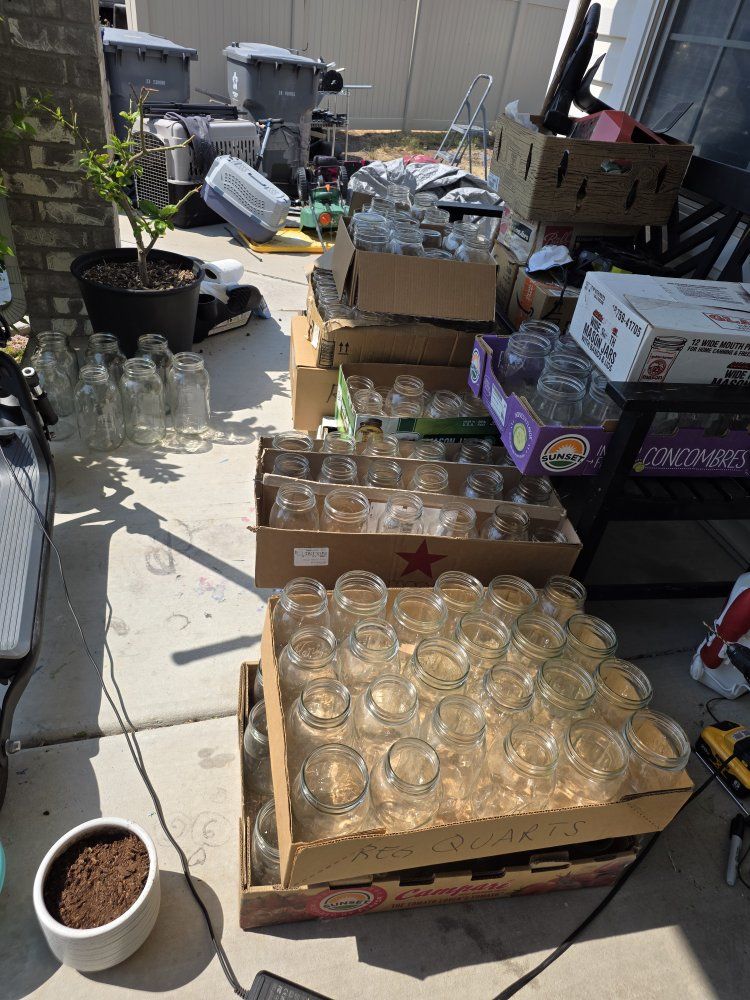 Assorted Ball & Kerr Mason Jars - Half Gallon, Quart, Pint, Half Pint - Bulk Lot for Canning/Storage