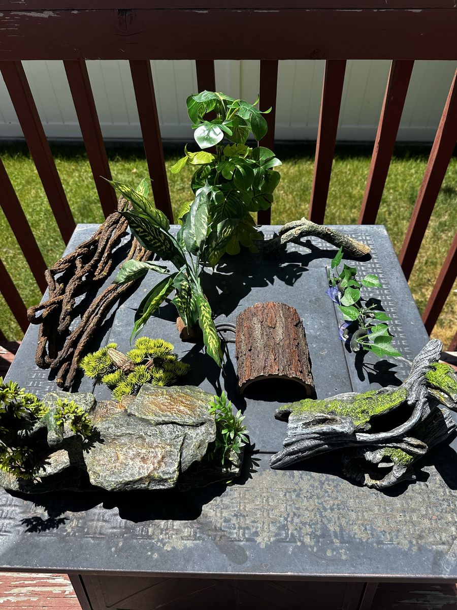 Main image 10