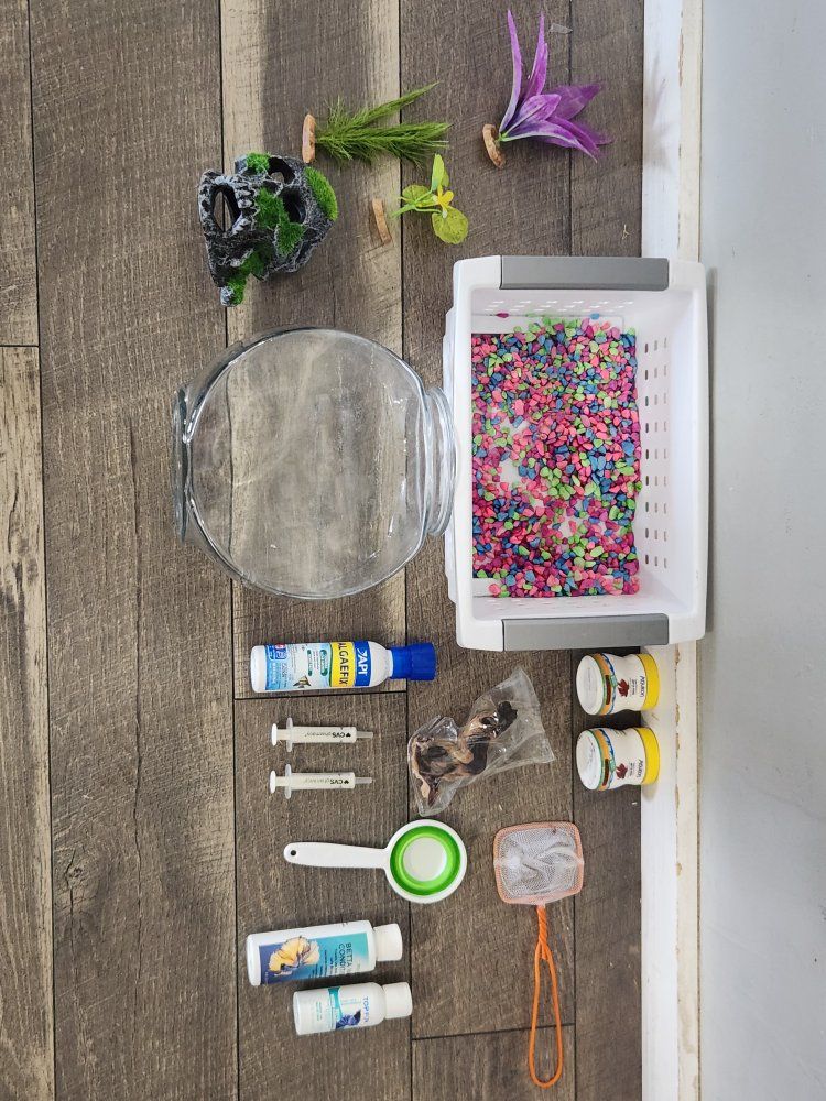 Betta Fish Starter Kit