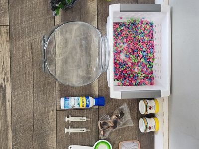 Betta Fish Starter Kit