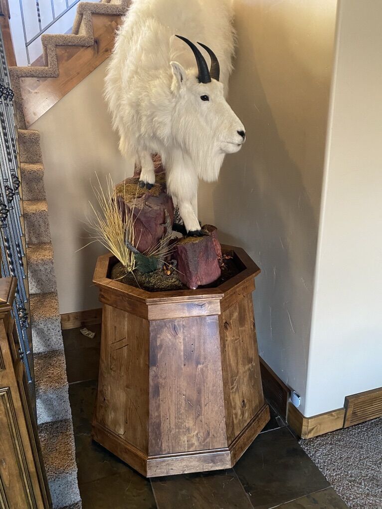 Taxidermy Pedestals