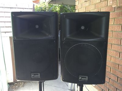 P.AUDIO 250-F 12” Passive PA Speakers