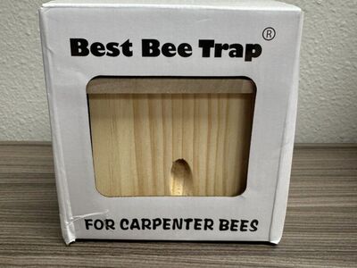 Best Bee Trap