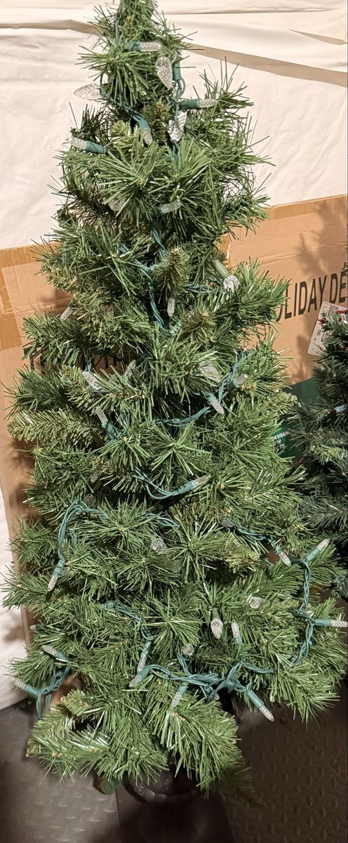 CHRISTMAS TREES
