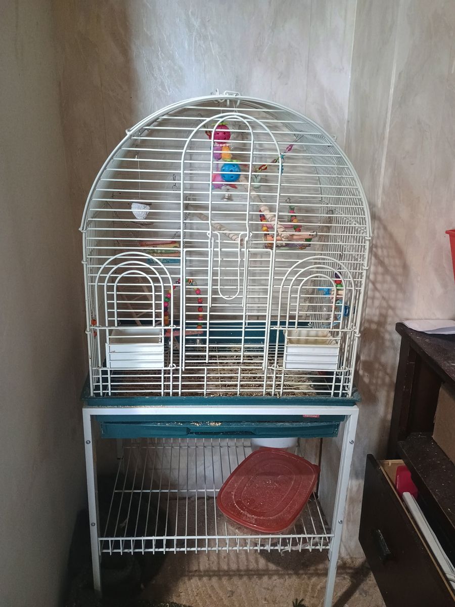 Parot cage with toys!