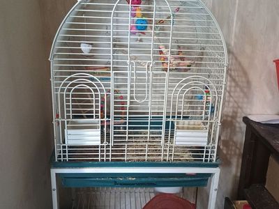 Parot cage with toys!