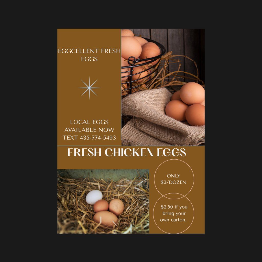 Fresh chicken chicken eggs