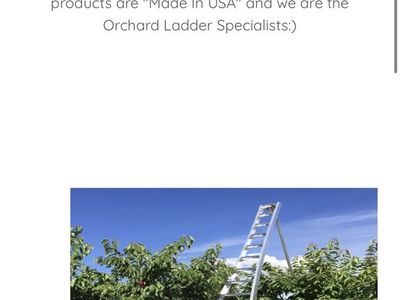Ladder King 16' Aluminum Orchard Ladder