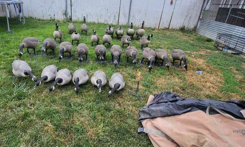 Canada Goose Full-Body Hunting Decoys & Rogers Storage Bags