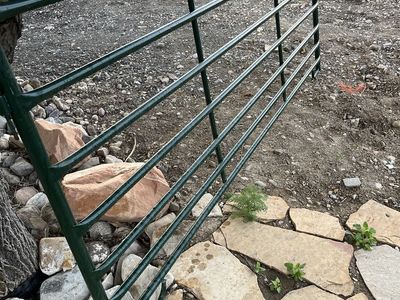 Sheep and goat panels