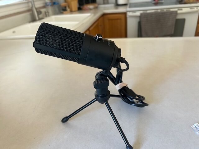 Standalone Microphone