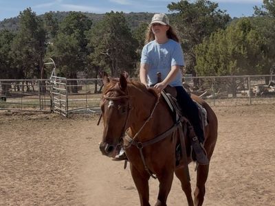 Sweet Been there done that gelding!