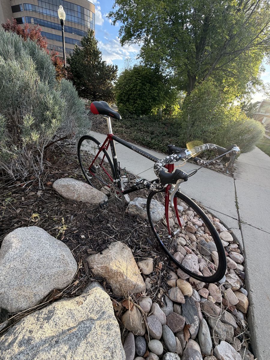 Trek Composite 2200 Carbon Fiber Gravel/Road Bike
