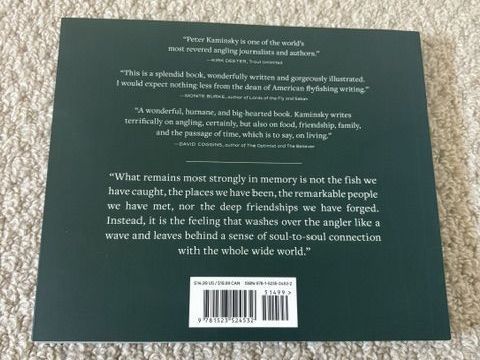 Main image 2