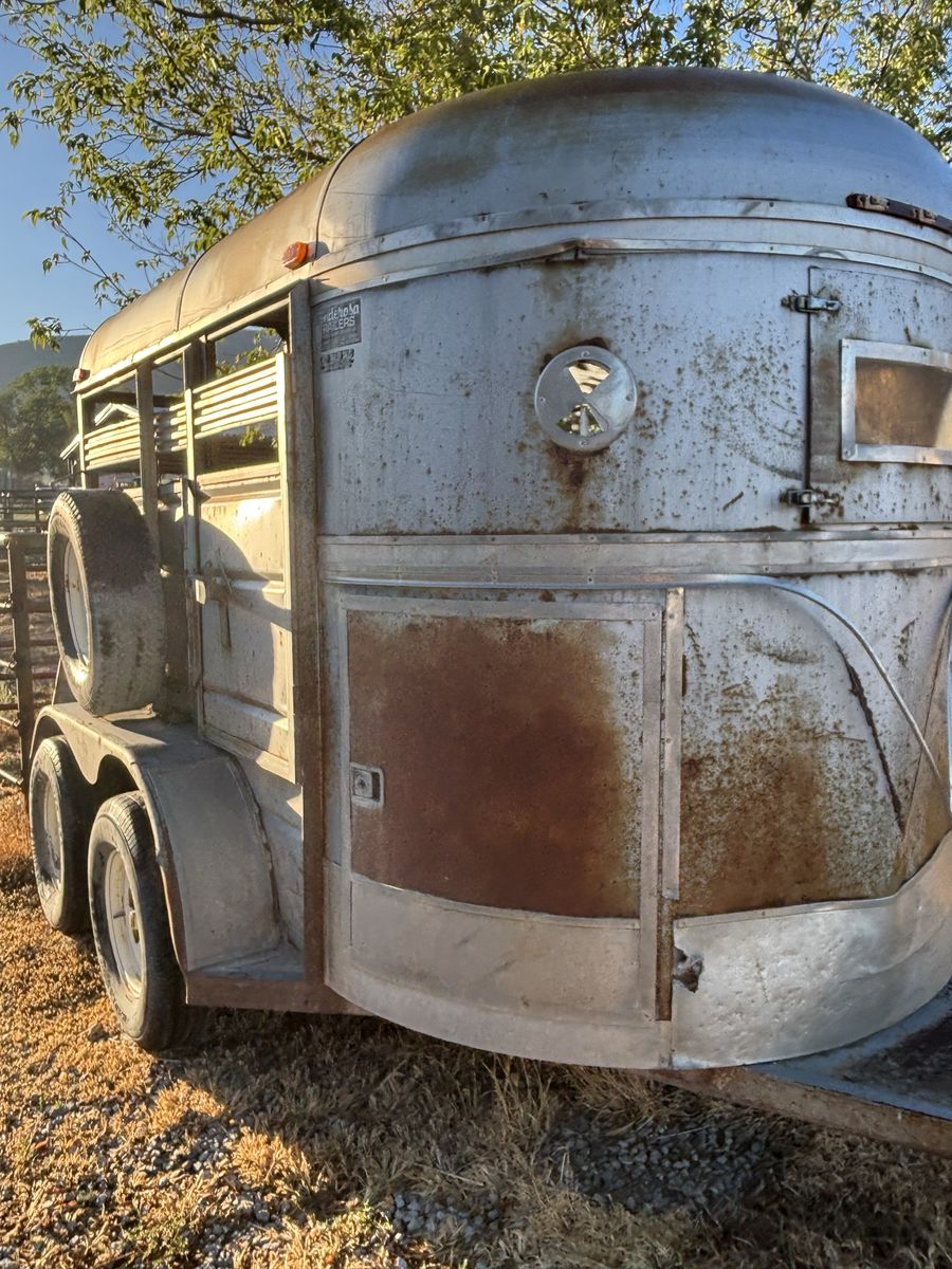Large 2 horse trailer