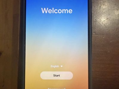Samsung Galaxy S25 Ultra Unlocked 256 GB