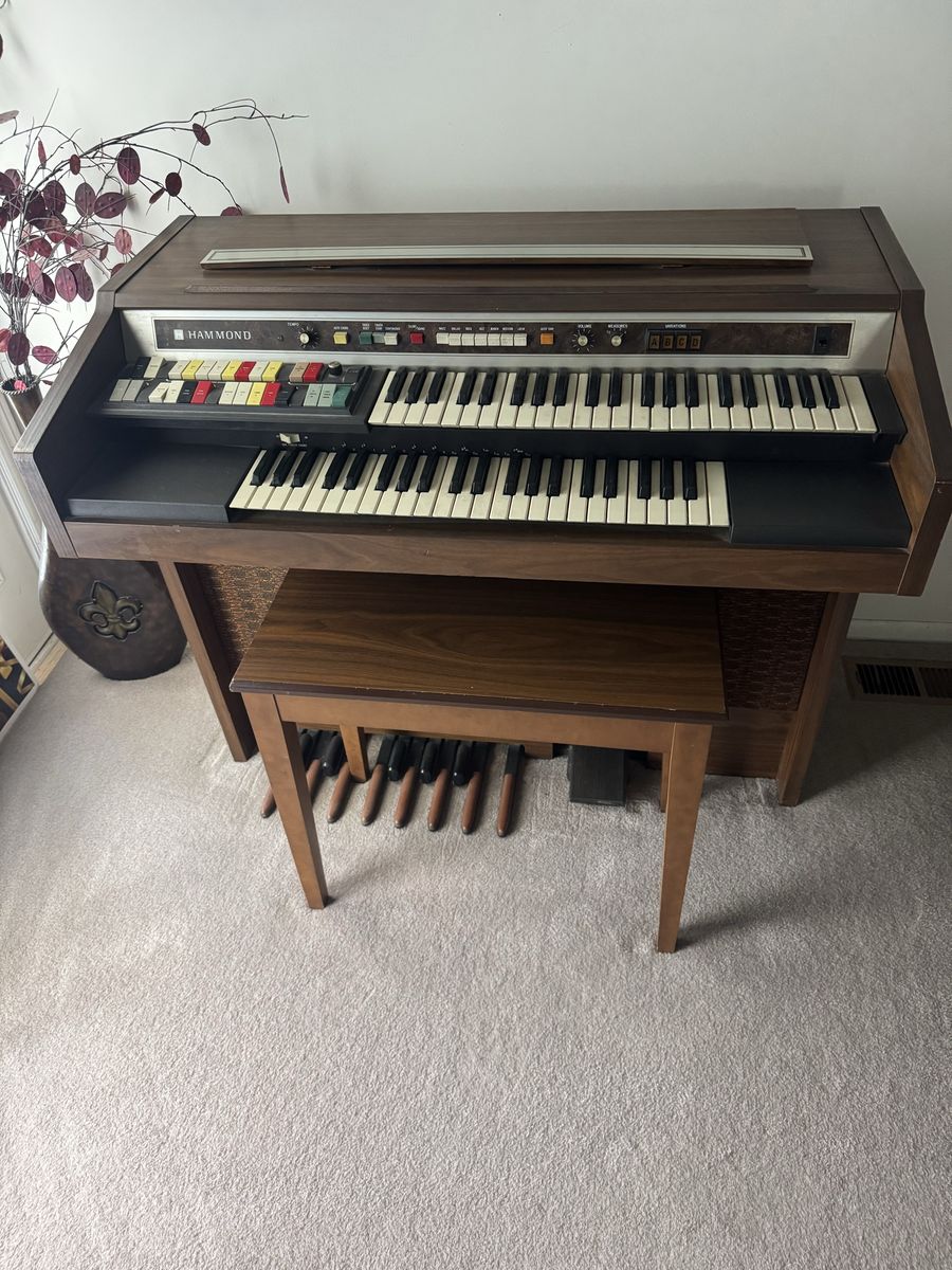 Electric organ