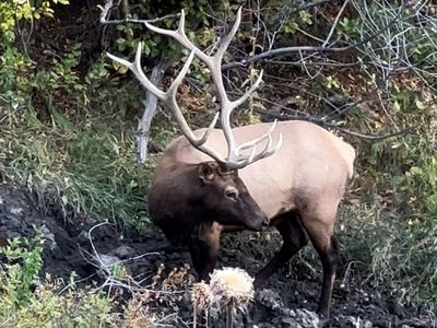 640 acre mountain ranch for sale