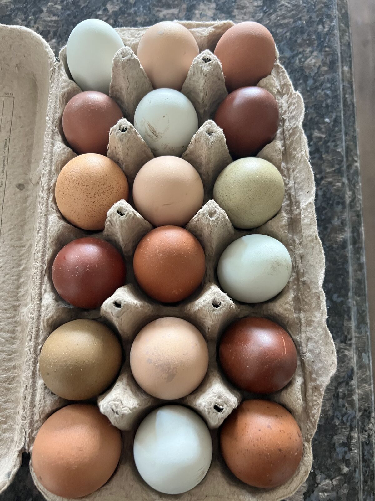 Farm fresh eggs