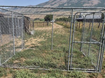 10'x10'x6' Dog Kennel
