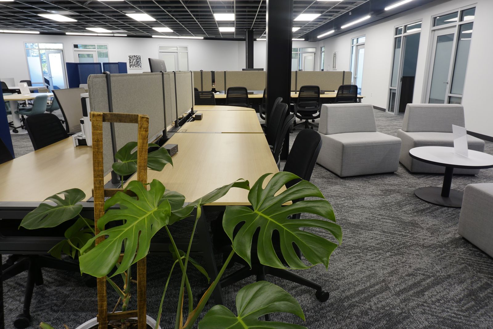 Coworking, But Make It Professional 🪑