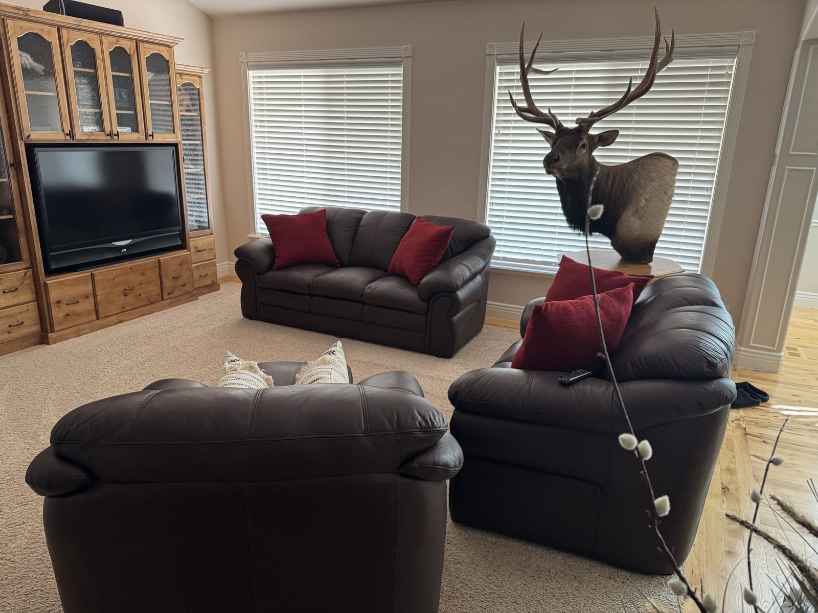 Leather Living Room Set