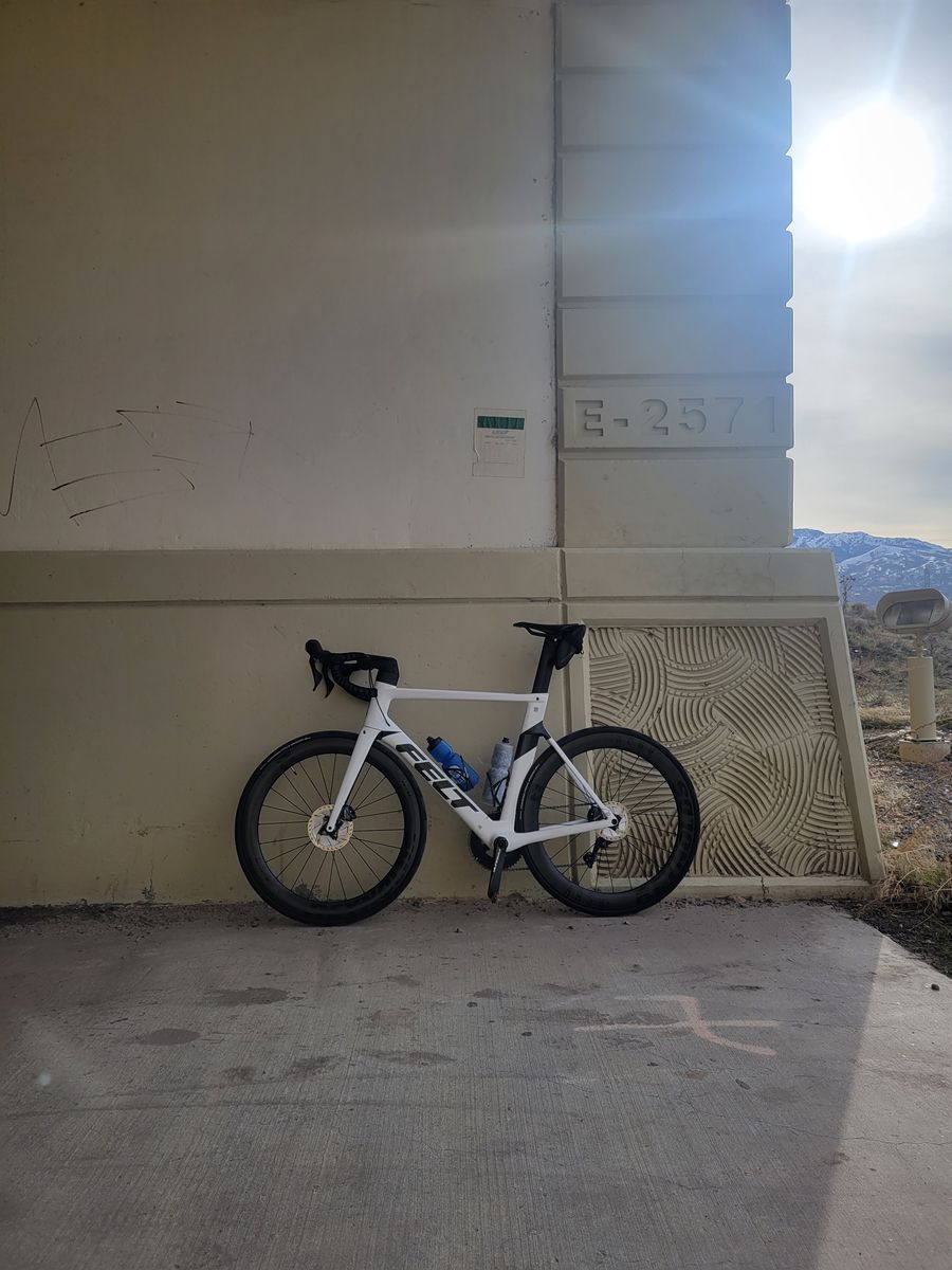2023 Felt AR