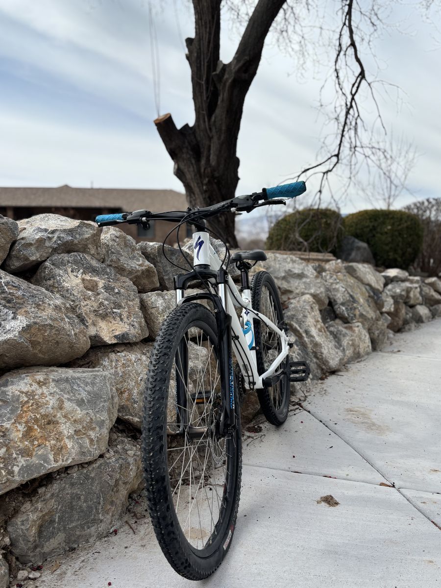 Specialized Rockhopper