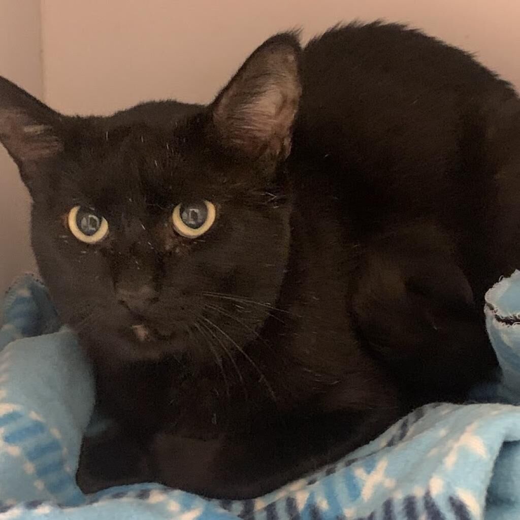 Hello my name is Lloyd